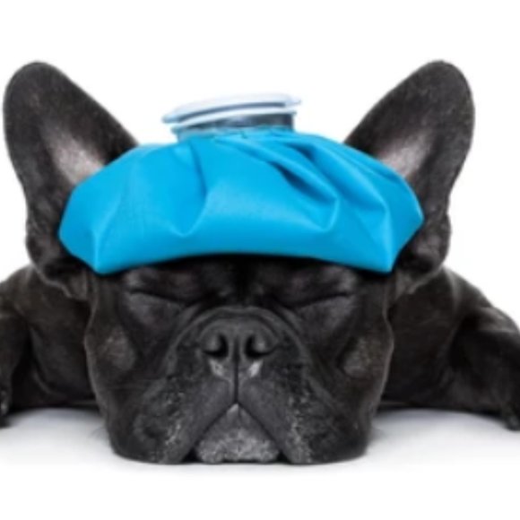 vintage 60s NWT rubber ice cap bag - Picture 5 of 6